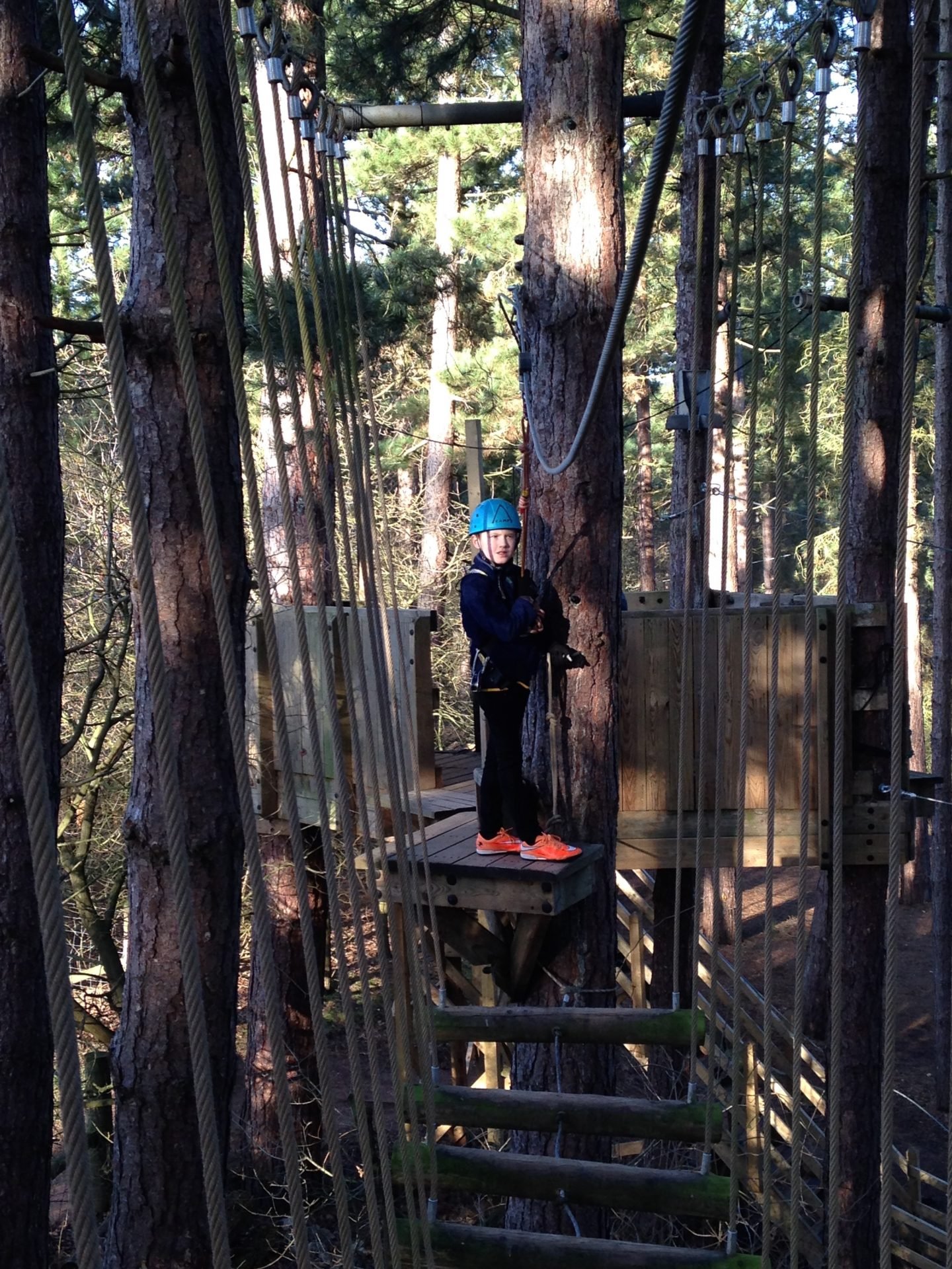 Tree Trekking at Center Parcs