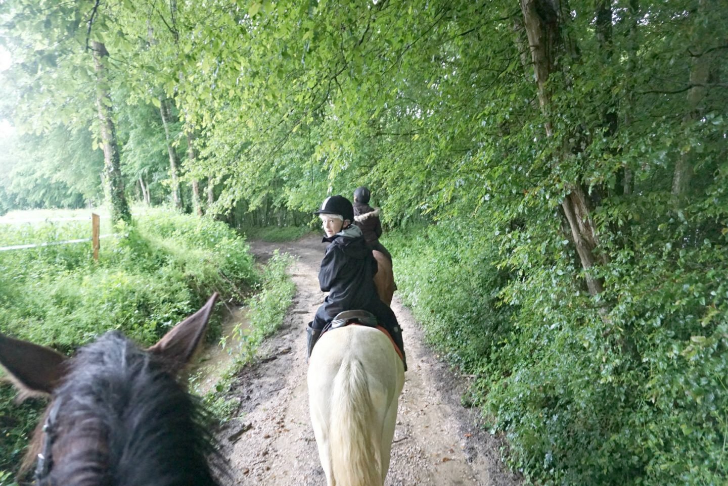 Horse Riding In Burgundy,Tips When Taking A Road Trip With Teens And Tweens www.extraordinarychaos.com