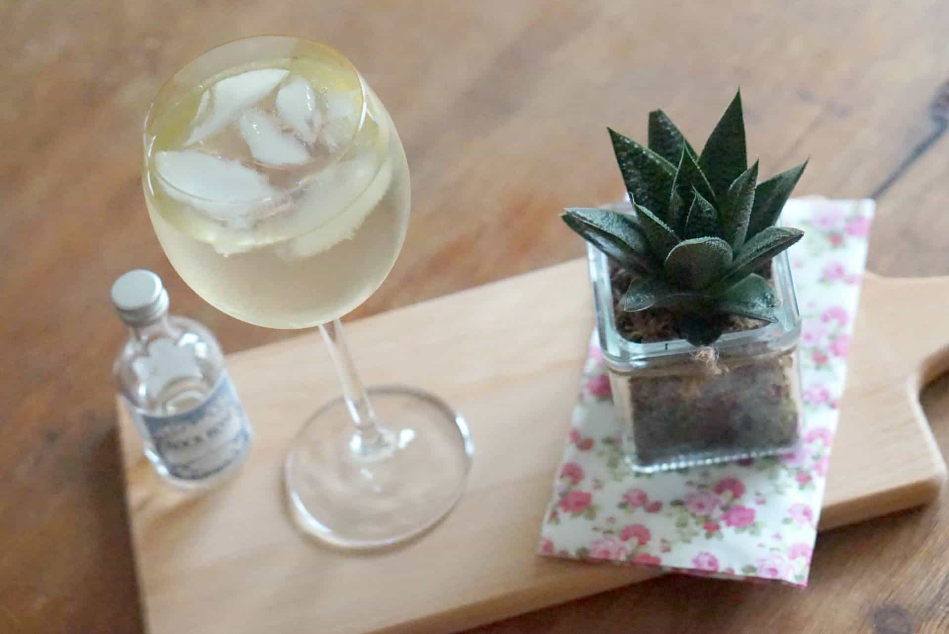 My Weekly Round Up, Planning,Discovering Gin, And My Current Gin Faves