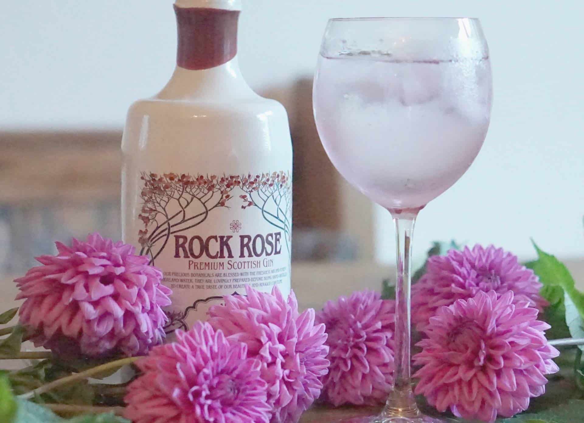 My Weekly Round Up And Growing Up,Discovering Gin, And My Current Gin Faves