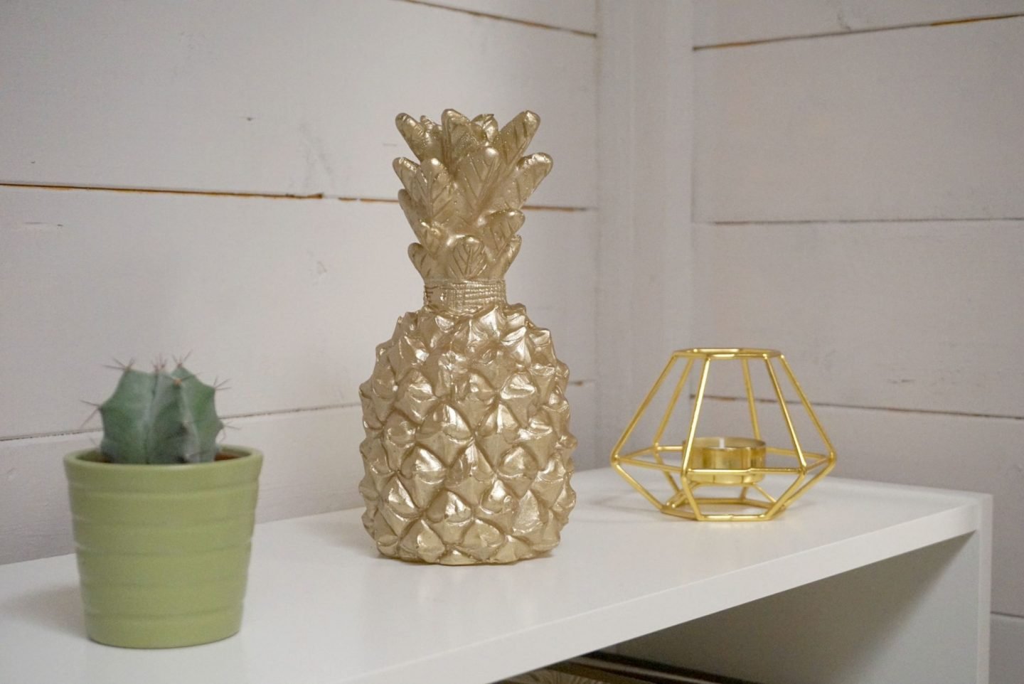 Ornamental Gold Pineapple in my out door garden office extraordinarychaos.com