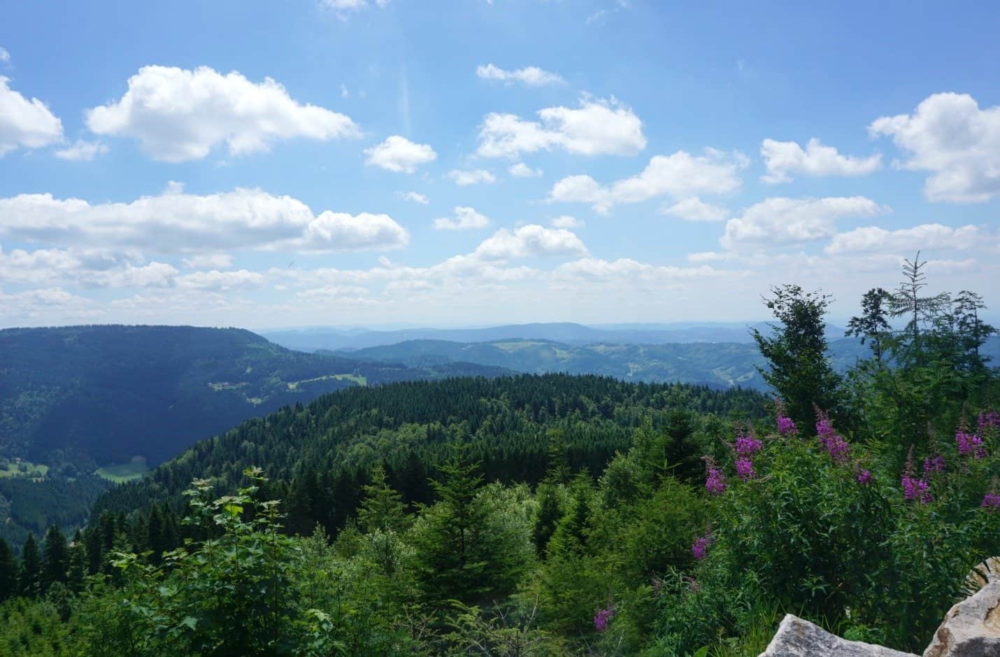 Being at the Black Forest is like being at the tops of the world www.extraordinarychaos.com