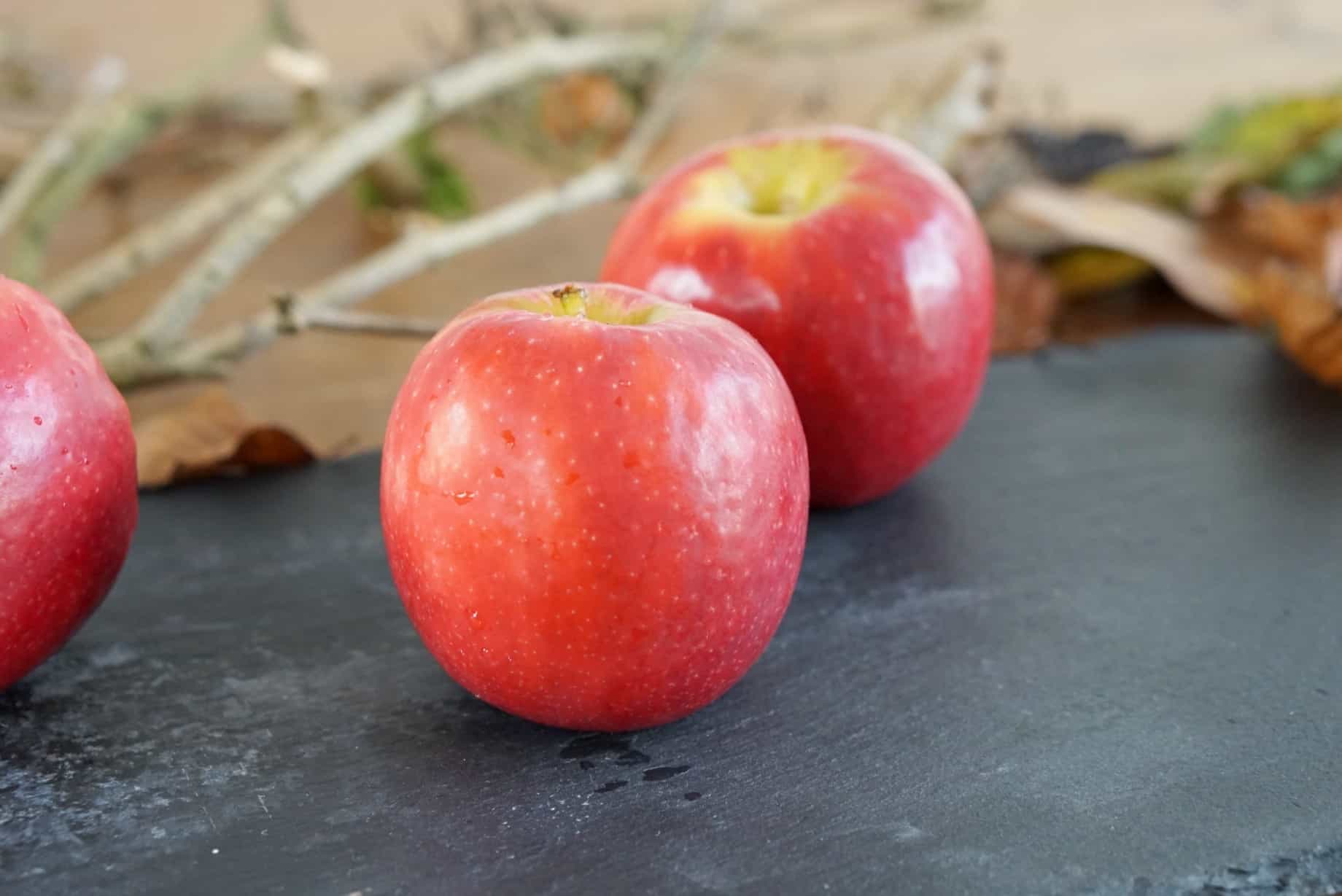 Recipe for poison apples www.extraordinarychaos.com