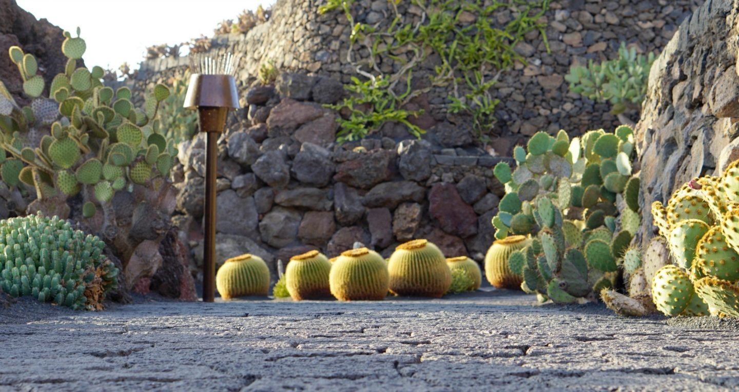 The Cactus Garden Lanzarote