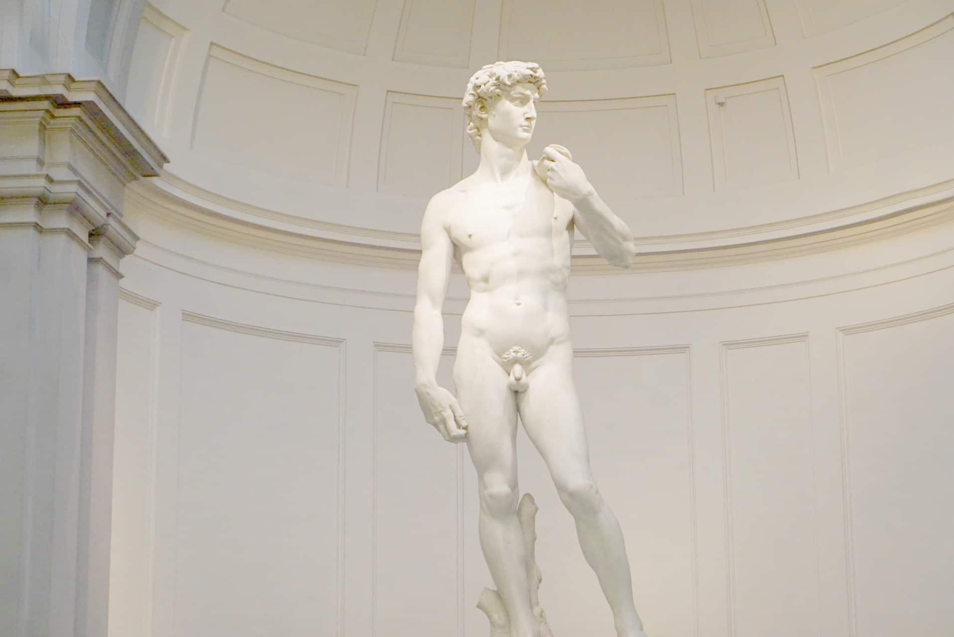 Michelangelo's David at the Academia Museum Florence can be booked as part of a guided tour