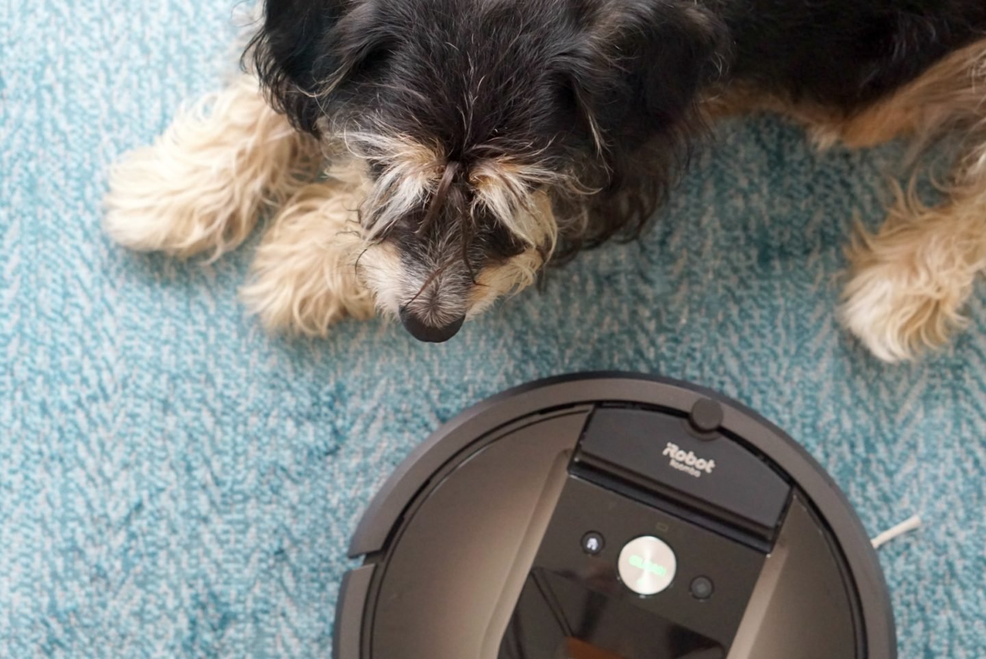 Review of the Roomba 980