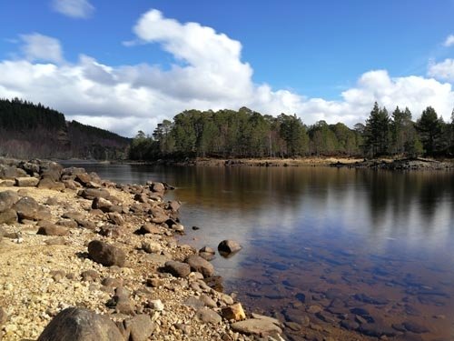 Travel With Our Kids,FAMILY FRIENDLY GLEN AFFRIC WALKS