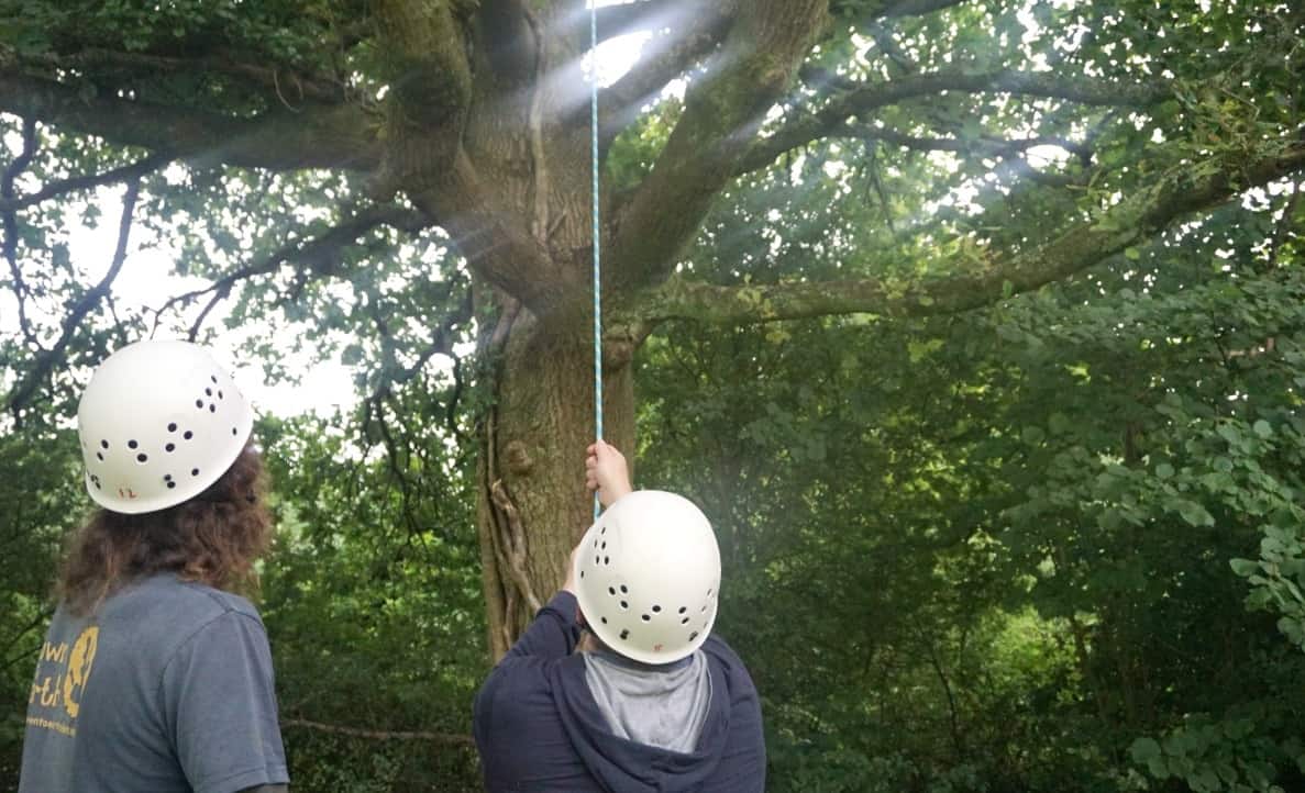 Tree climbing in Wales www.extraordinarychoas.com