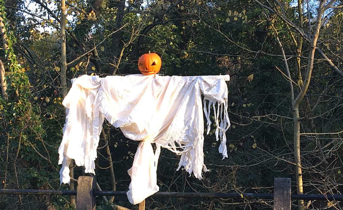 Pumkin Scarecrow in Roughlee