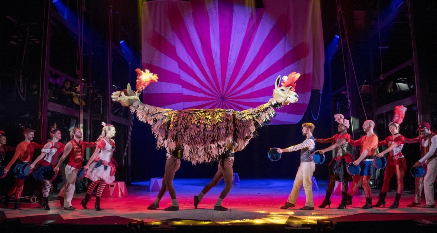 Doctor Dolittle Manchester Review 