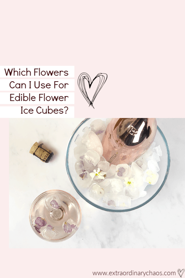 Which flowers can I use for edible flower ice cubes