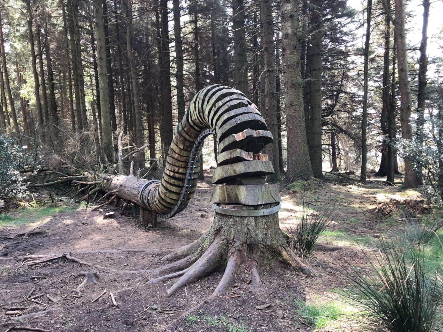 Tree sculpture at the Pendle Trail