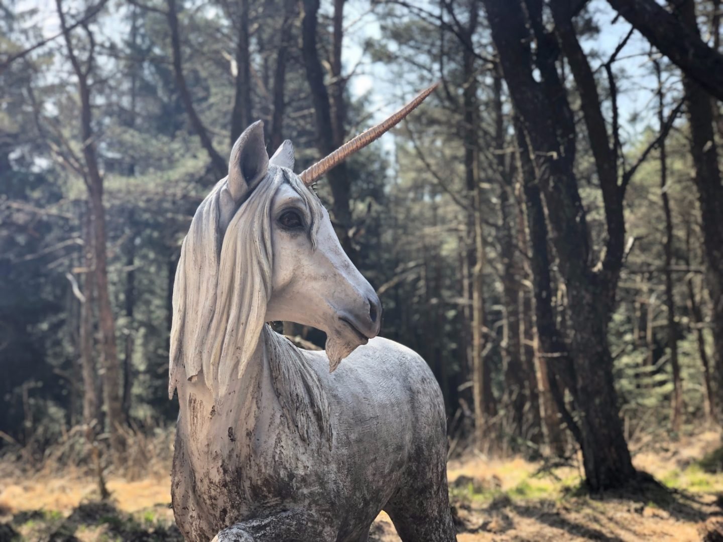Unicorn on the pendle sculpture trail