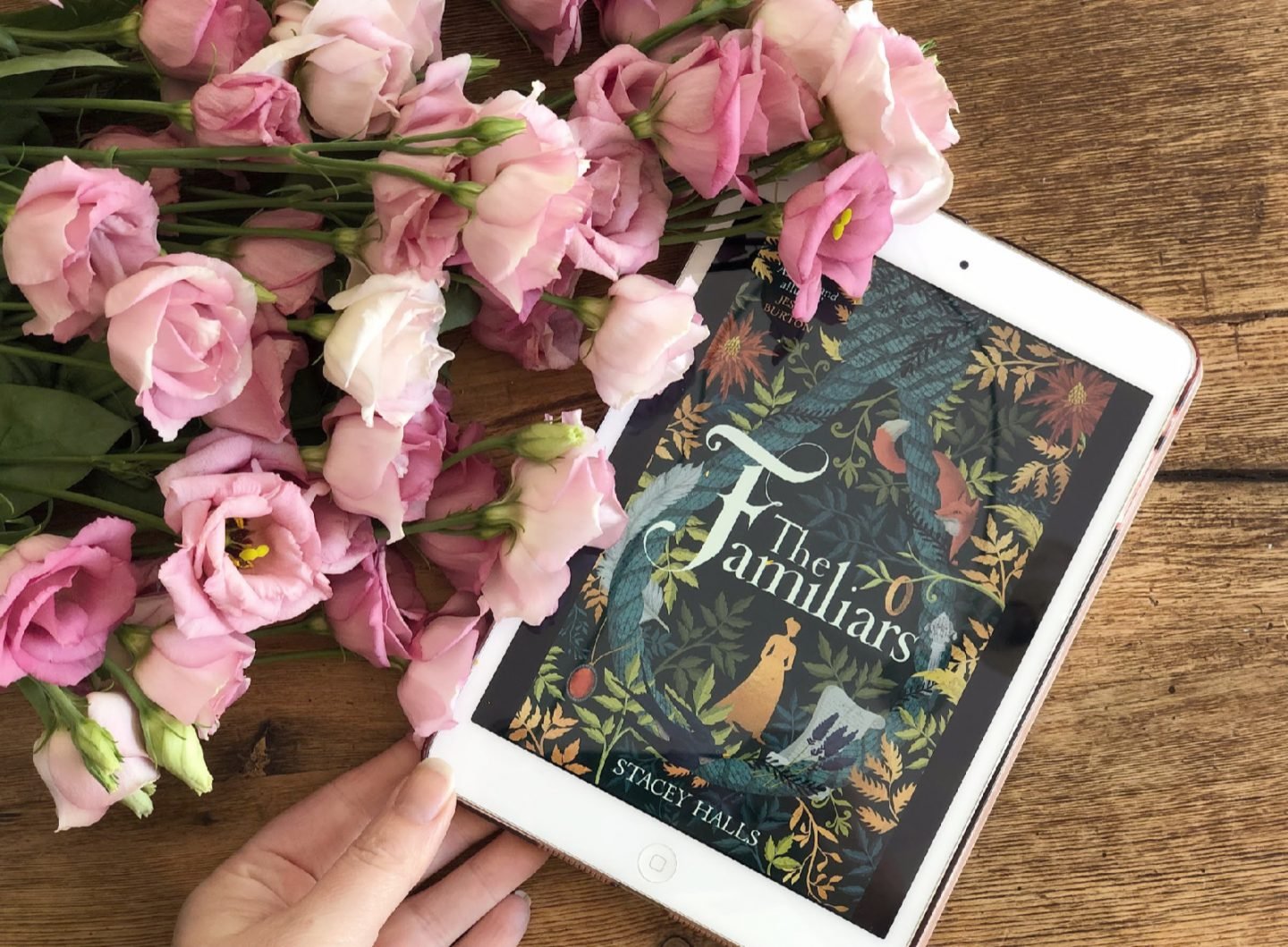 The Familiars By Stacey Halls
