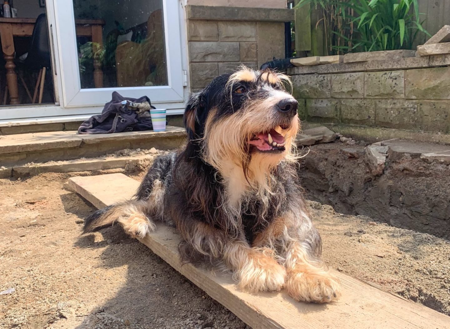 Toby supervising the build