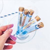 Plastic Test Tubes With Cork Tops