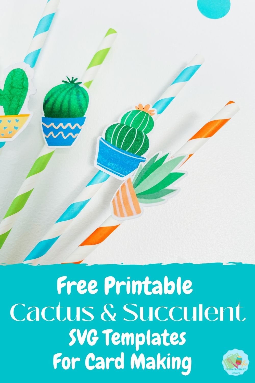 Free Cricut Cactus and succulent SVG File for crafting-5