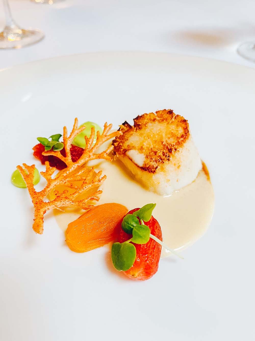 Orkney Scallop as part of the 5 course tasting menu at Northcote Manor