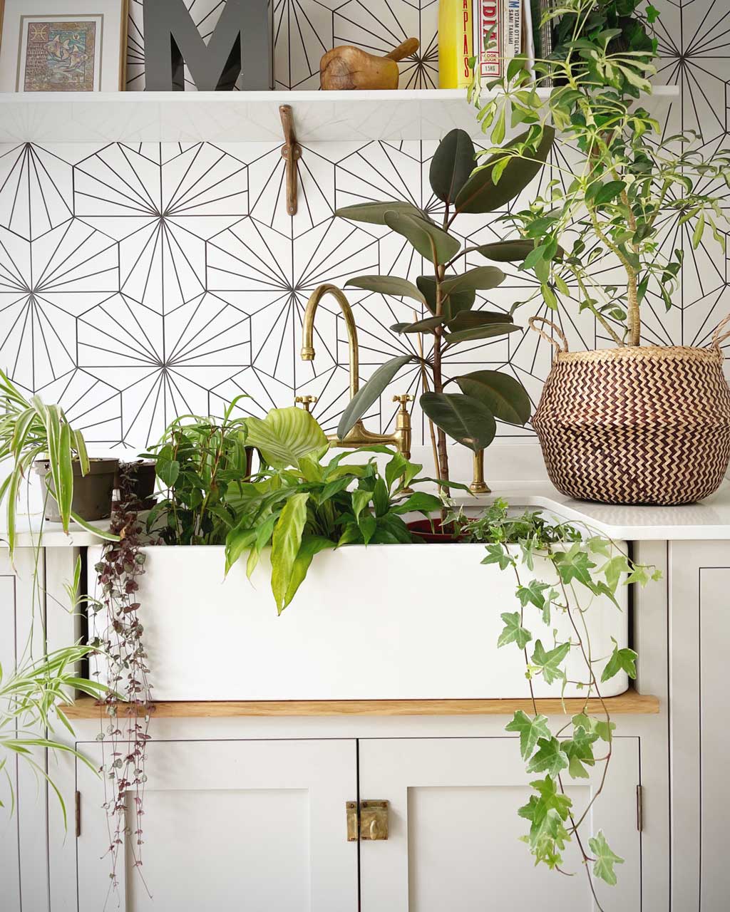Ways-to-Bring-Biophilic-Design-into-Your-Home-include-indoor-greenery